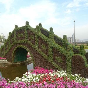 五色草造型